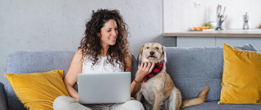 A woman sits on her couch with her laptop open, researching energy saving practices, while petting her dog.